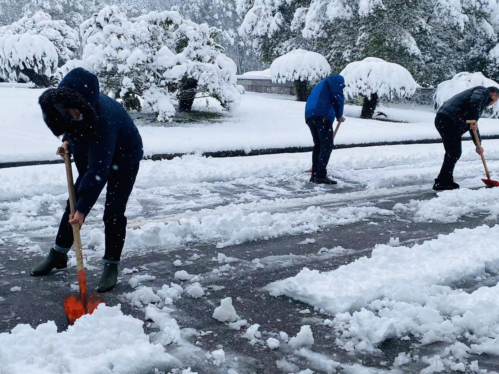 志愿服务保园区畅通 铲雪行动展党员风采